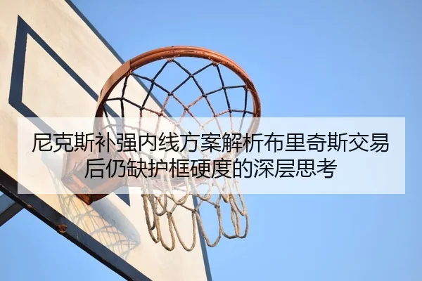 尼克斯补强内线方案解析布里奇斯交易后仍缺护框硬度的深层思考